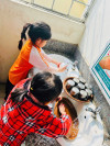 LIÊN ĐỘI TRƯỜNG TIỂU HỌC KIẾN HƯNG PHÁT ĐỘNG CHƯƠNG TRÌNH “ CHIẾN SĨ NHÍ XÂY DỰNG TRƯỜNG HỌC SÁNG – XANH – SẠCH – ĐẸP ”