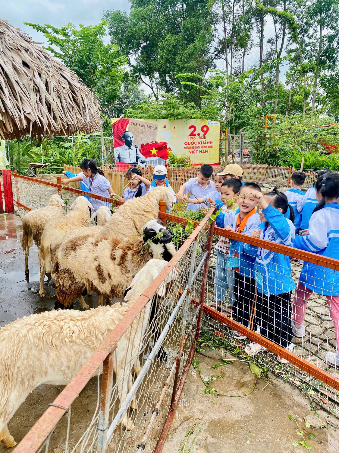 z7148197474534 cd076becded85cedf1762e4c26746fcf