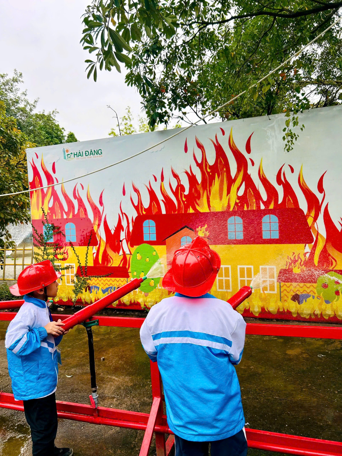 z7148197486670 67a2d3e0001103f45f7562e11a1a5733